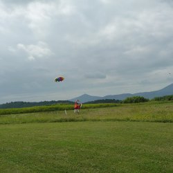 2013 Suche 29062013 Petr